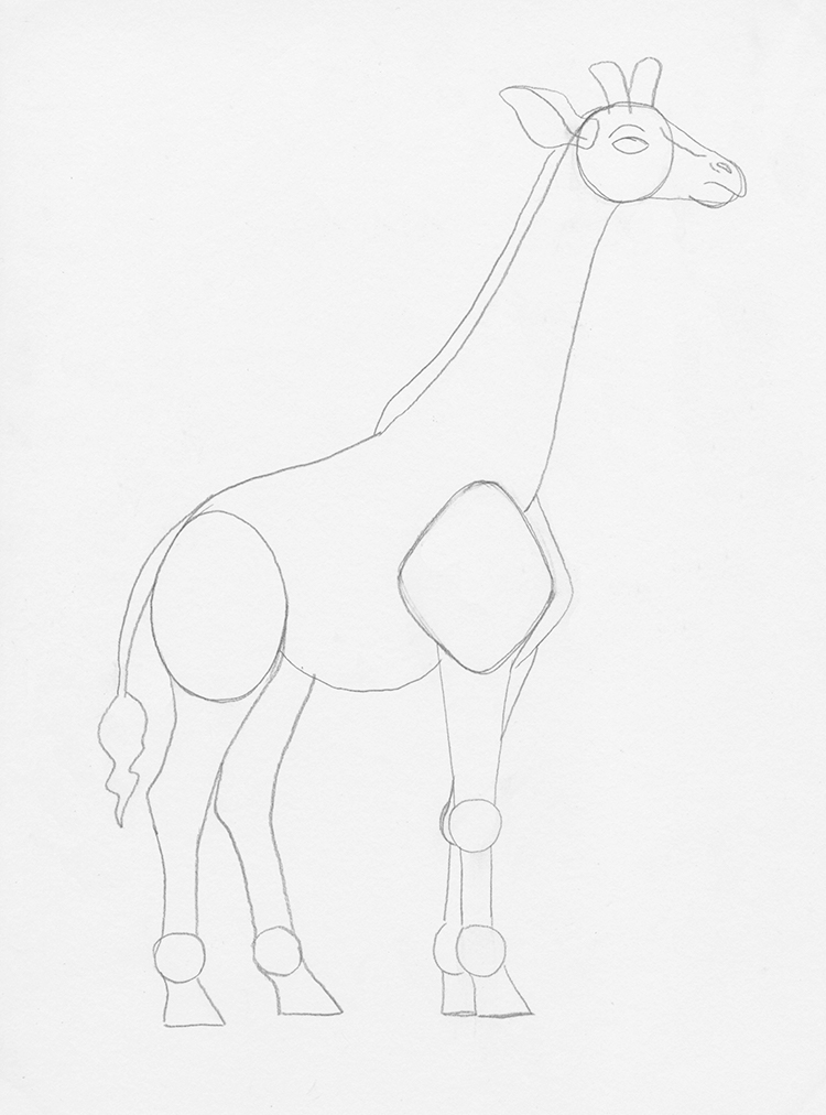 How to Draw a Giraffe