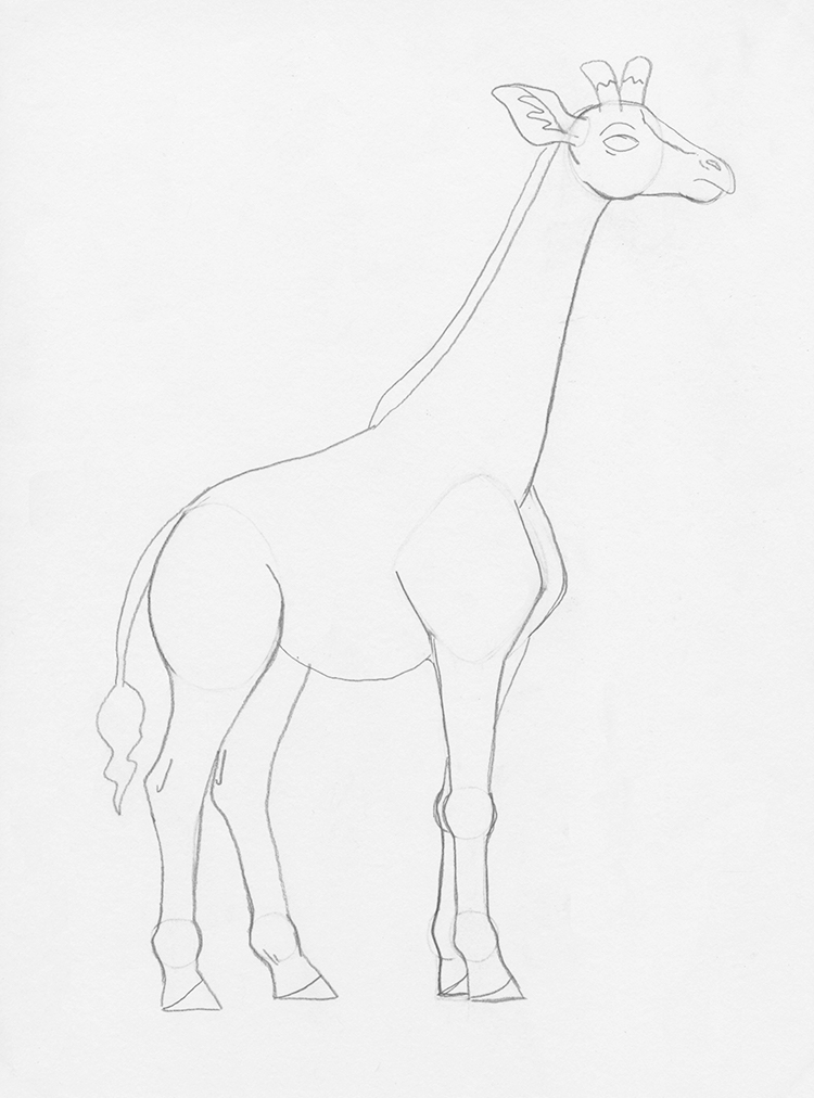 easy giraffe pencil drawing