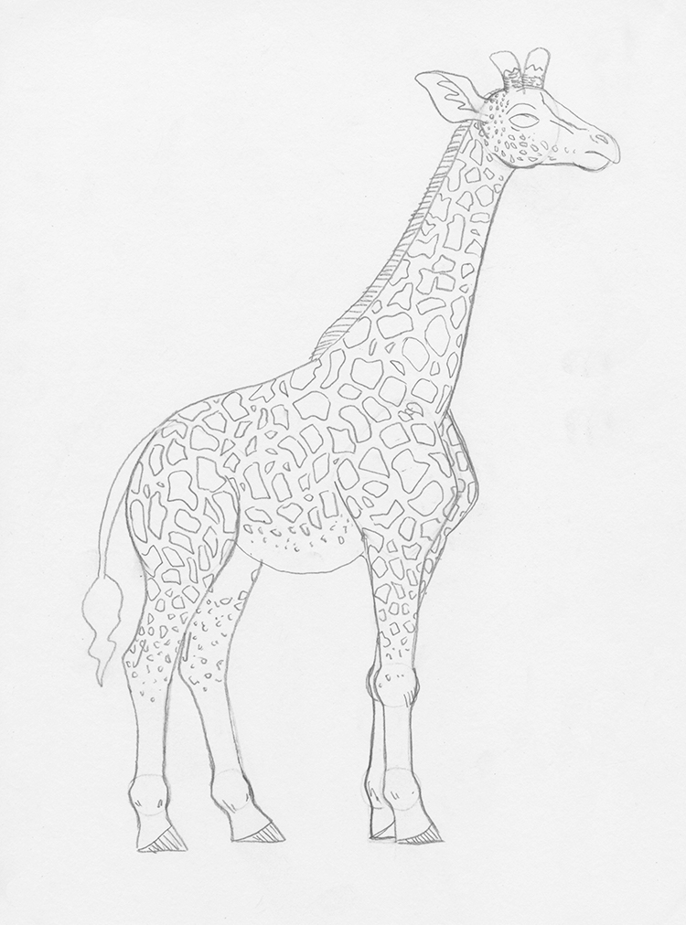 easy giraffe pencil drawing