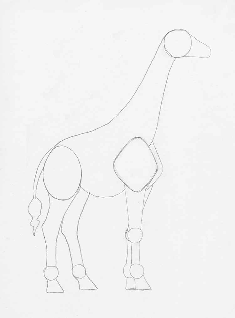 Step By Step Giraffe Drawing Linsey Marban