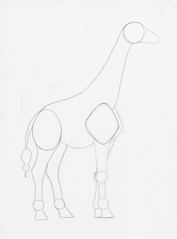 How to Draw a Giraffe