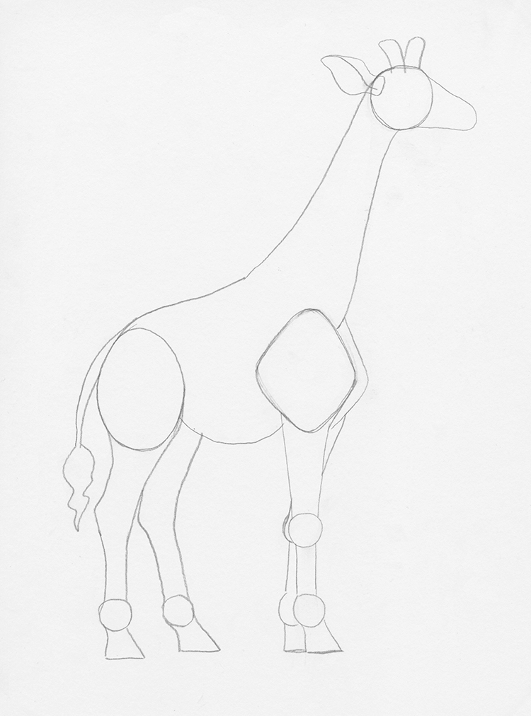 how to draw a giraffe step by step