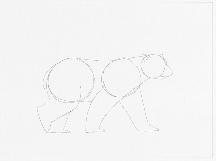 Descubre cómo dibujar un oso polar en este tutorial paso a paso