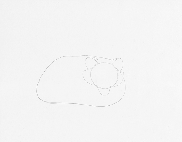 How to Draw a Sleeping Fox