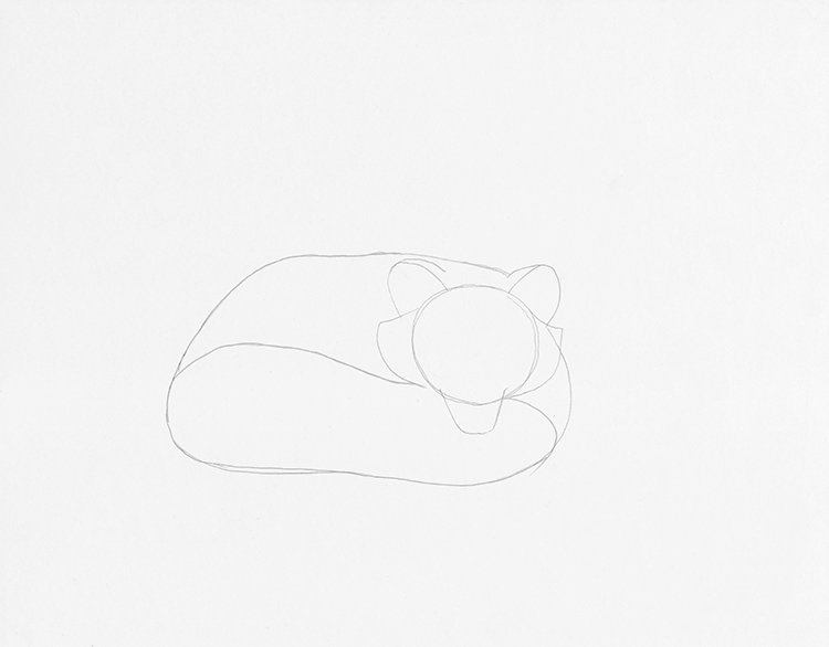 How to Draw a Sleeping Fox