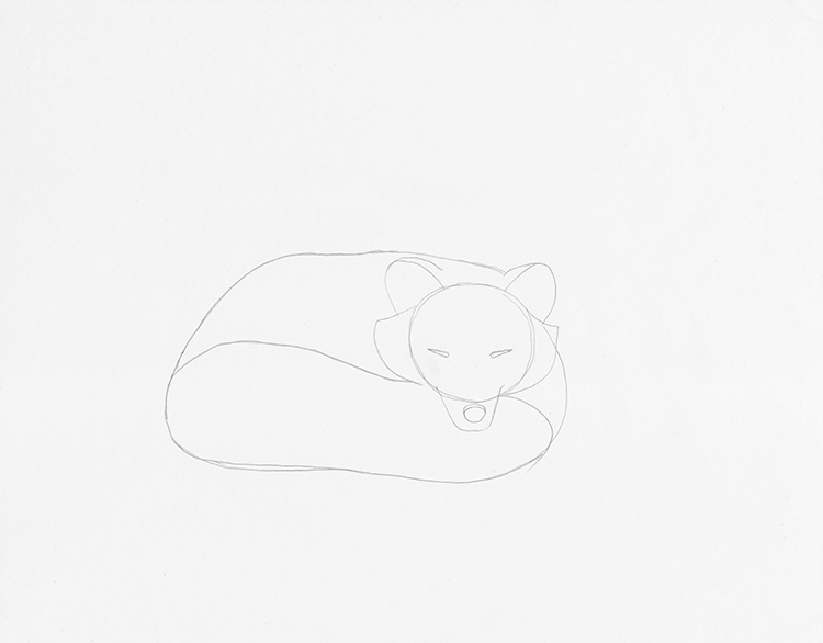 How to Draw a Sleeping Fox