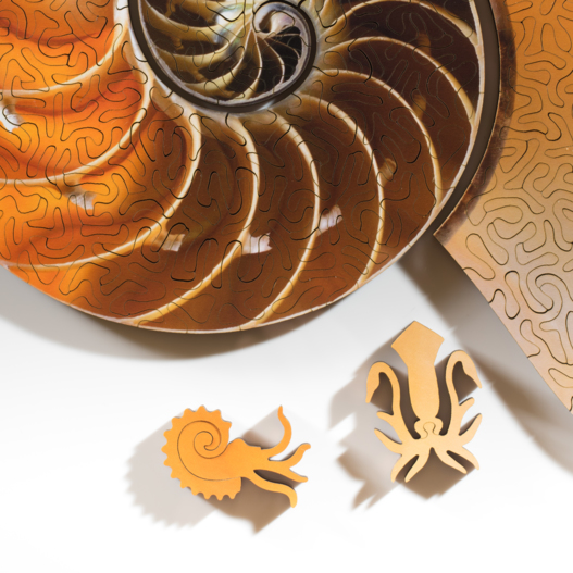 Rompecabezas de nautilo