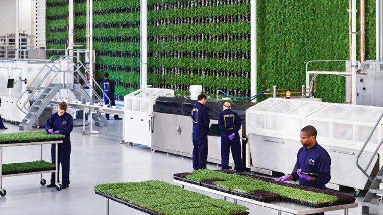 This 2-Acre Vertical Farm is Managed by AI and Robots