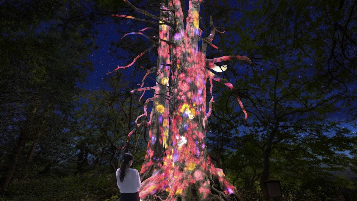 teamLab’s Kairakuen Garden Installation Transforms Nature Into Art