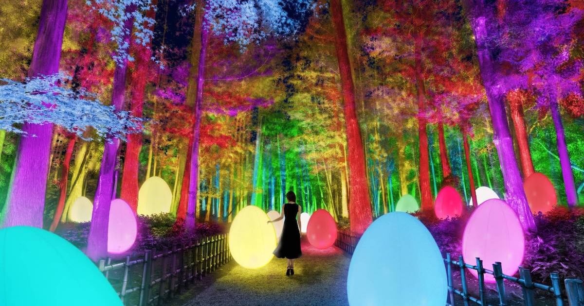 TeamLab’s Garden Interactive Installation Transforms Nature Into Art