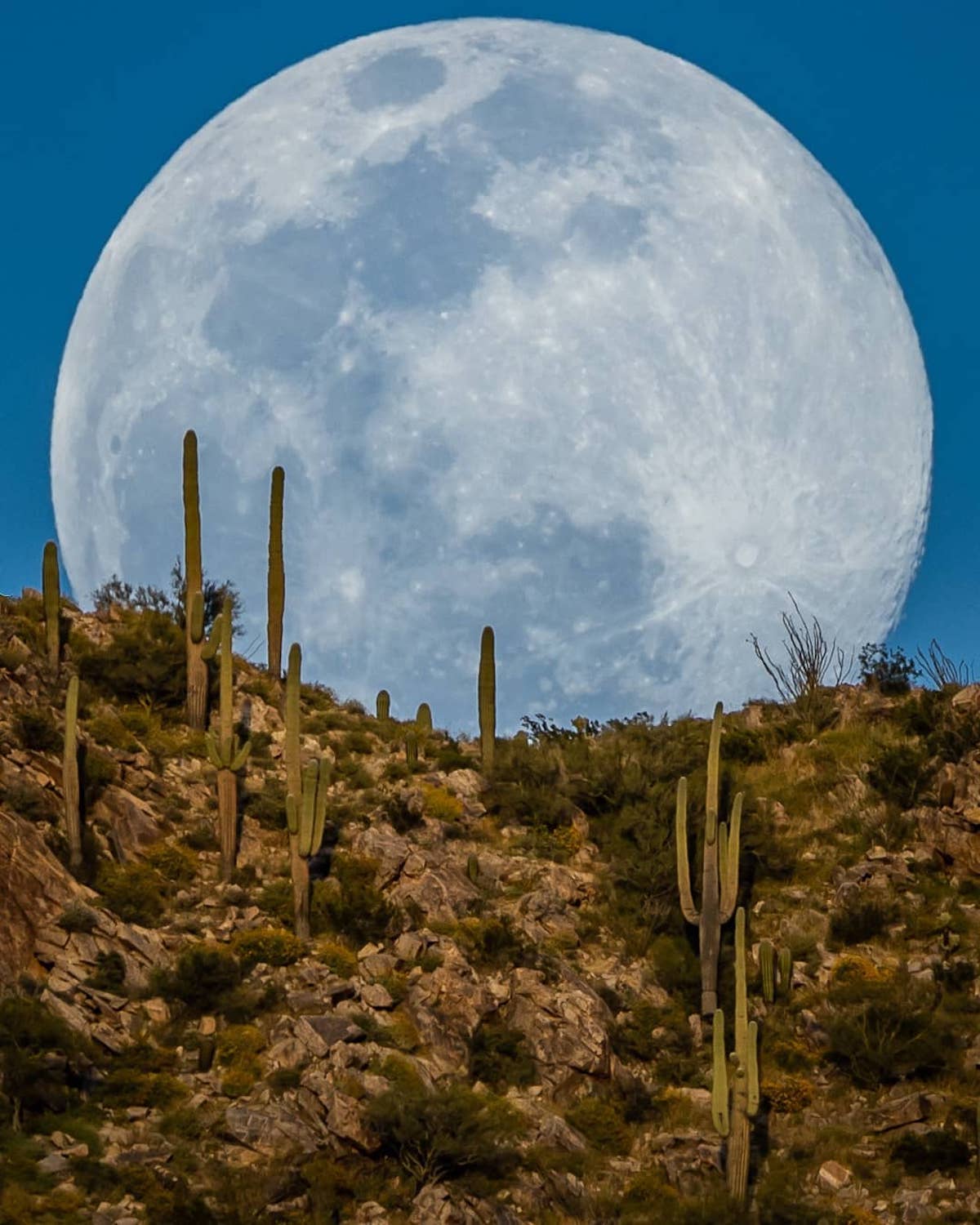 Moon Photo in the Desert