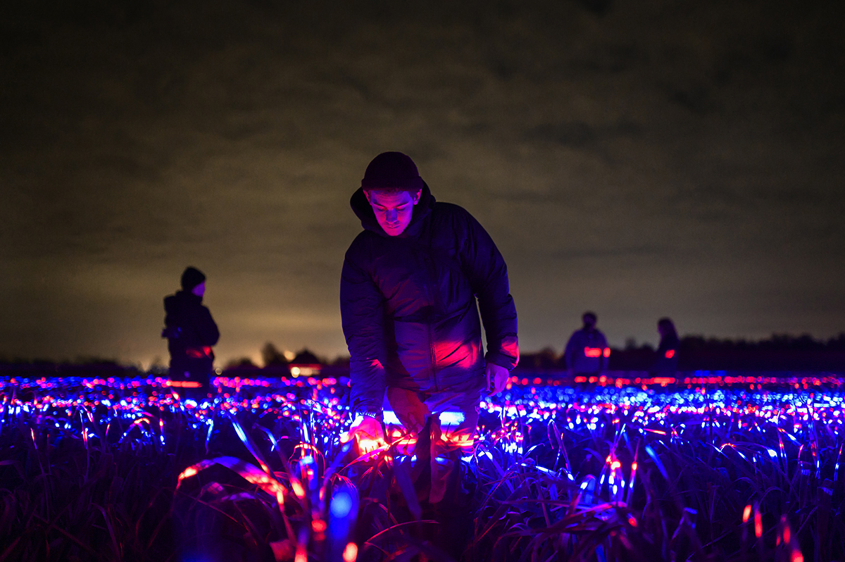 Daan Roosegaarde "Grow" Studio Light Recipes LED Plants Studio