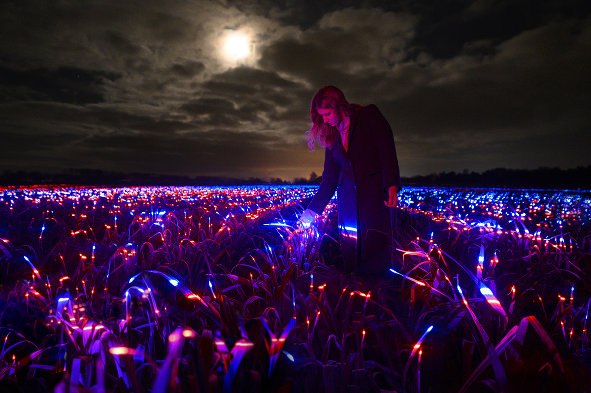 Daan Roosegaarde "Grow" Studio