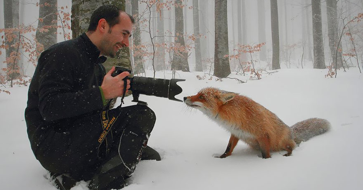 Photographer overwhelmed by animals