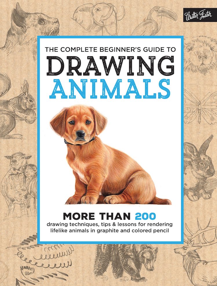 10 How to Draw Books That Will Help You Sketch the Animal Kingdom