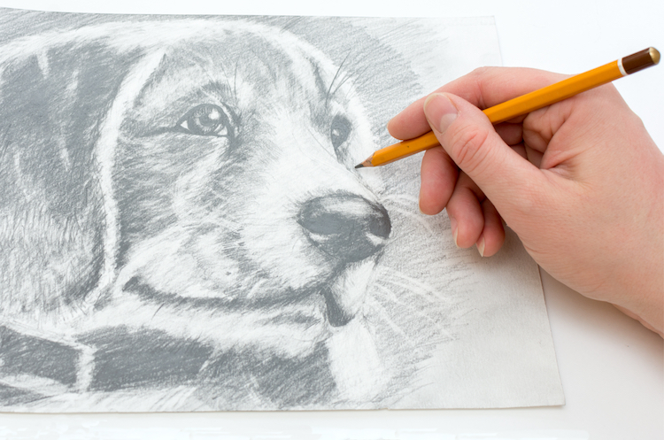 simple and easy pencil drawing of a best friend - YouTube