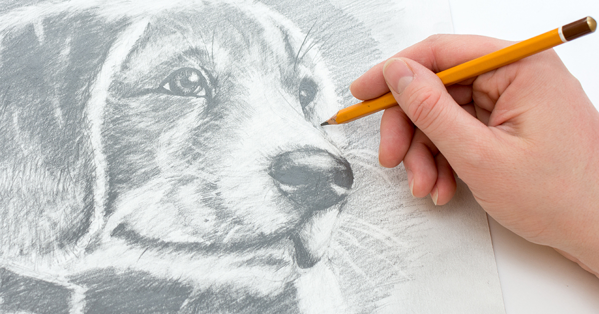 easy animal drawings in pencil for kids