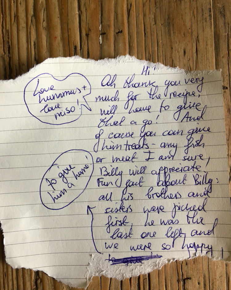 Billy the Cat Exchanges Notes Between Neighbors