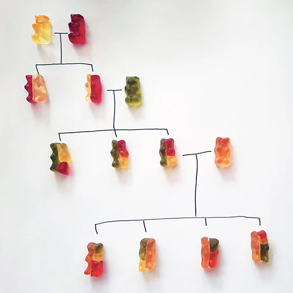 https://mymodernmet.com/wp/wp-content/uploads/2021/01/gummy-bear-genetics-thumbnail-2.jpg