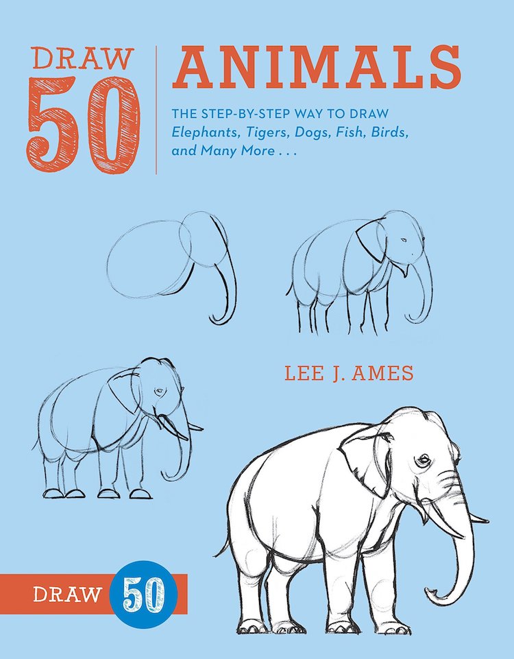 How to Draw 50 Animals