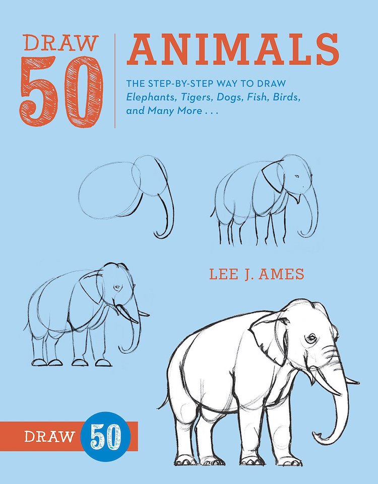 How to draw animal books awardspjawe