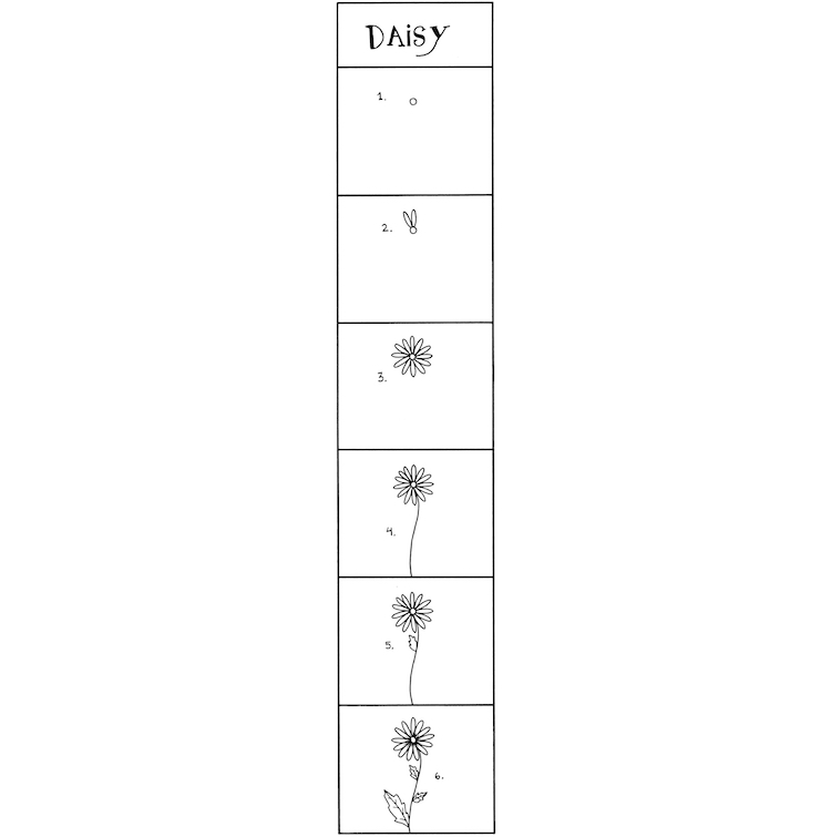 How to Draw Daisies