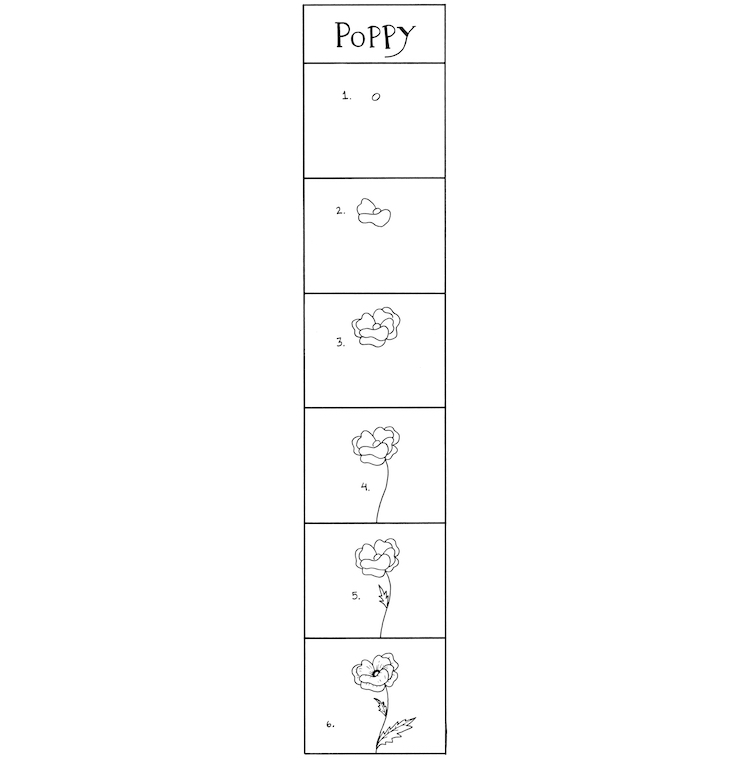 How to Draw Poppies