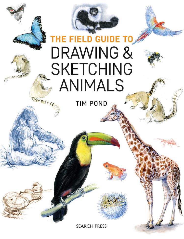 How To Draw Animals In Simple Steps - By Eva Dutton & Polly Pinder