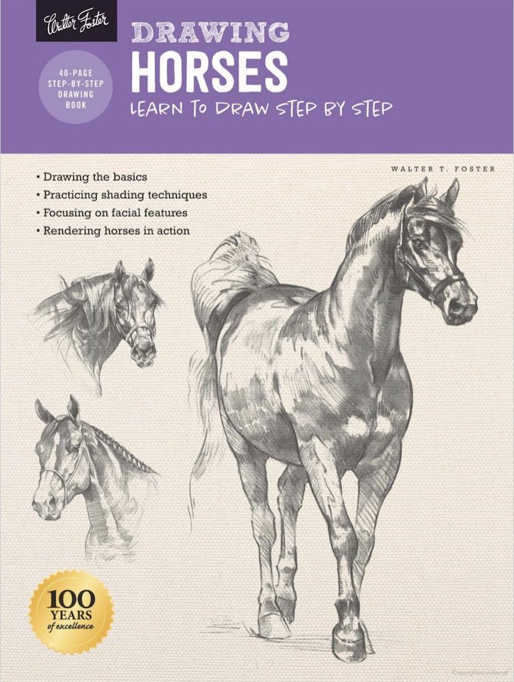 How to Draw Horses Book