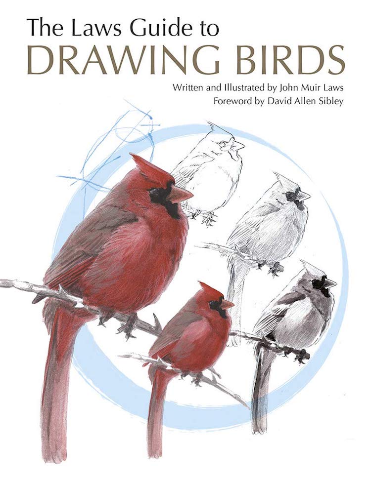 10 How to Draw Books That Will Help You Sketch the Animal Kingdom