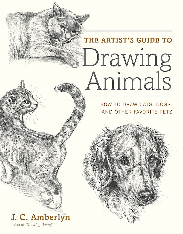 10 How to Draw Books That Will Help You Sketch the Animal Kingdom