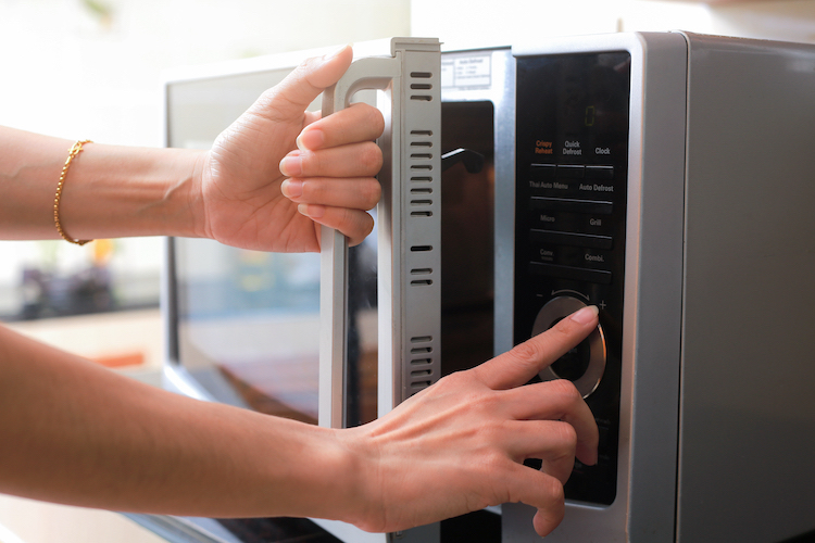 Press Flowers in the Microwave