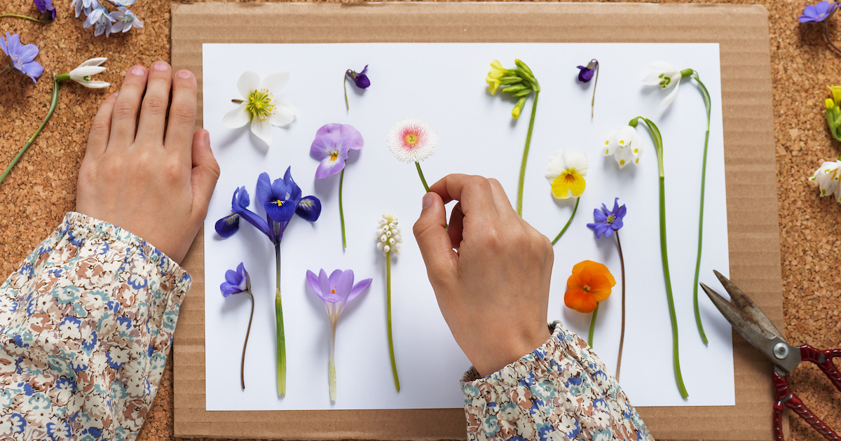 Flores prensadas: cómo prensar tus propias flores para tus proyectos DIY