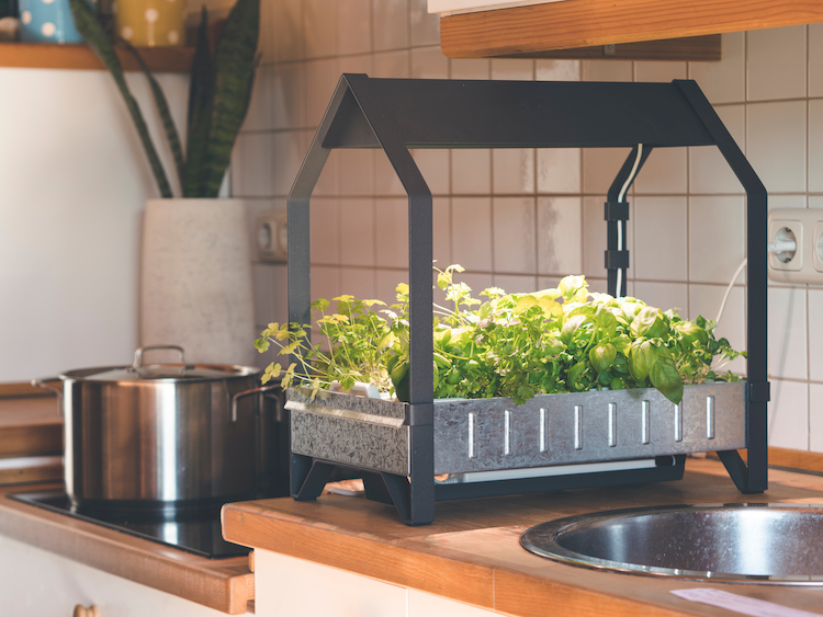 Top 15 smart garden for kitchen you need to invest in