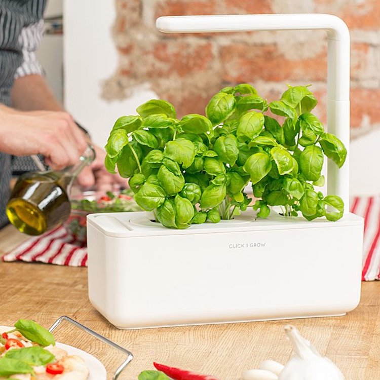 Tabletop Indoor Garden