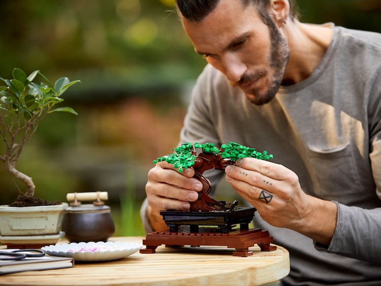 Construye un bonsái y ramos de flores con la nueva colección Botánica de  LEGO para adultos