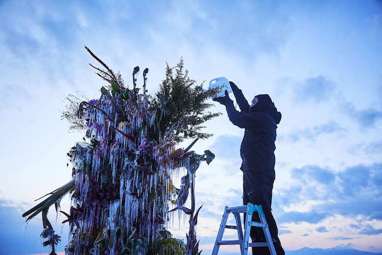 instalación con flores congeladas por Makoto Azuma