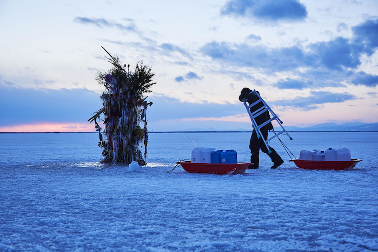 Frozen Flowers Installation by Makoto Azuma