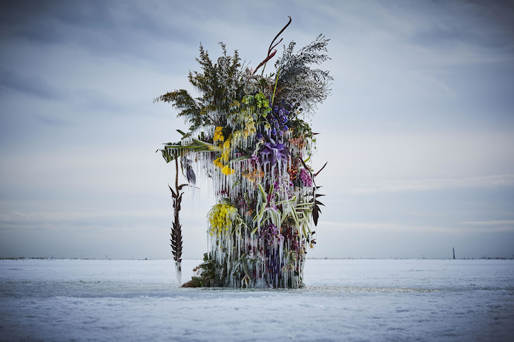 instalación con flores congeladas por Makoto Azuma