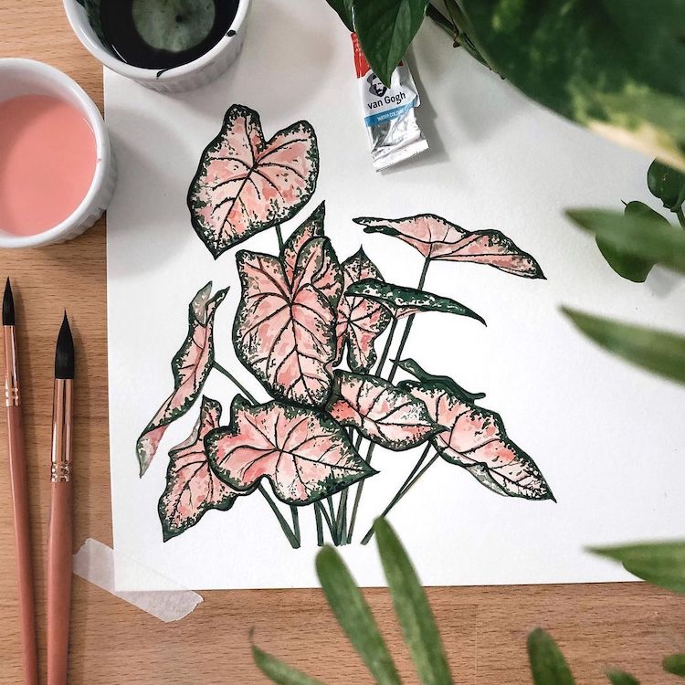 ilustraciones de plantas por Rosa F