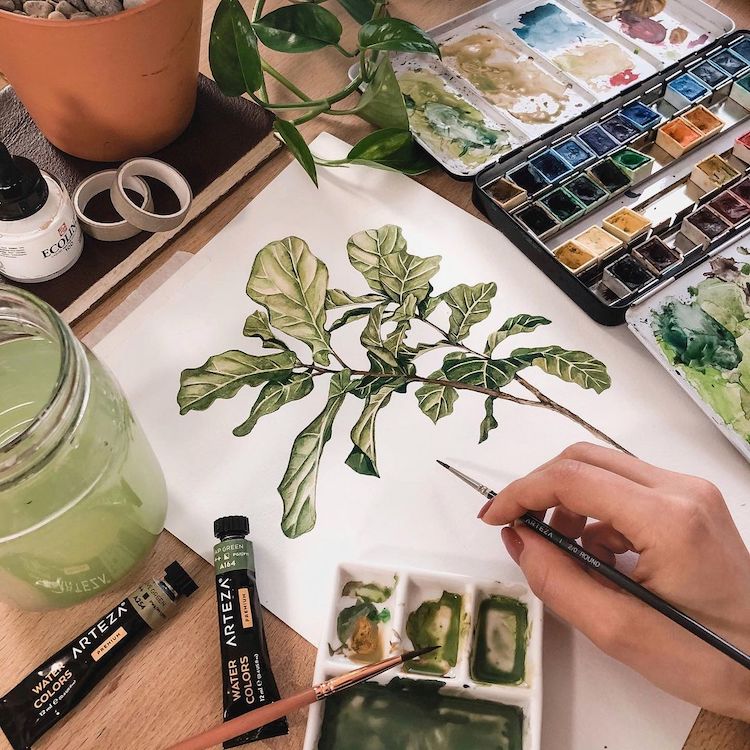 Plant Illustrations by Rosa F