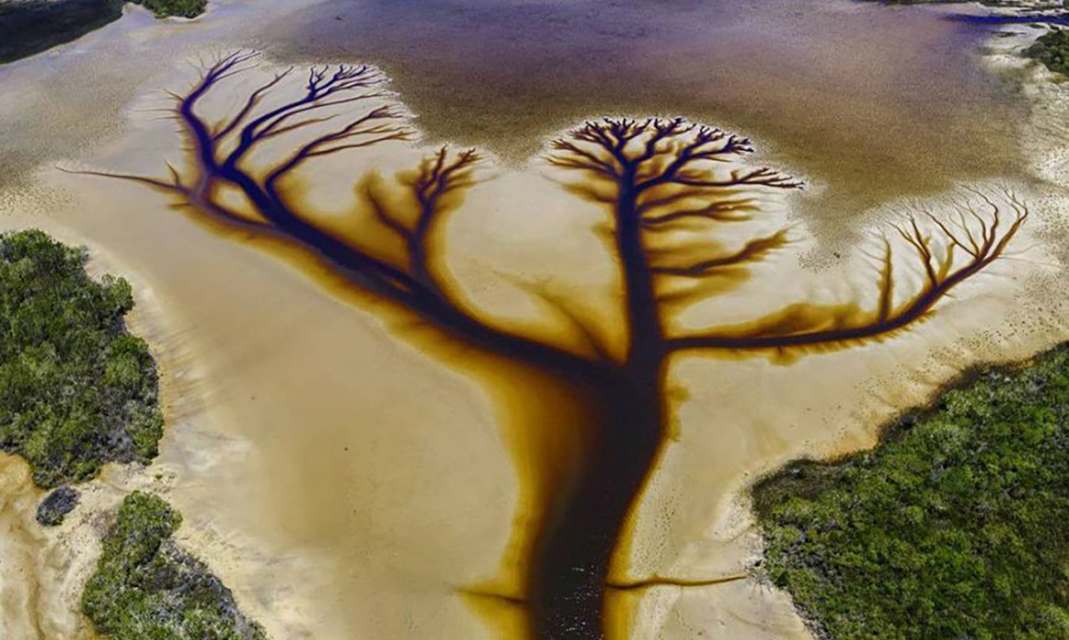 Сама природа поставила ее здесь для украшения. Озера Какора, Австралия. Озеро Чакора Австралия. Дерево жизни Австралия. Озеро в Австралии дерево.