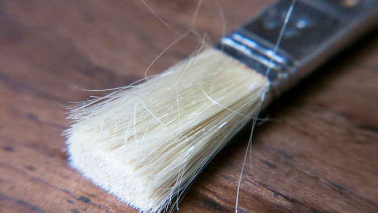 Paintbrush Bristles