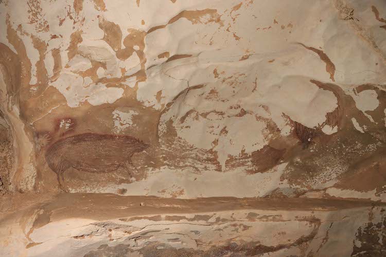 This Warty Pig Cave Painting May Be the Oldest Depiction of an Animal Ever Discovered