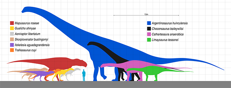 Los tamaños de los dinosaurios son el animal terrestre más grande