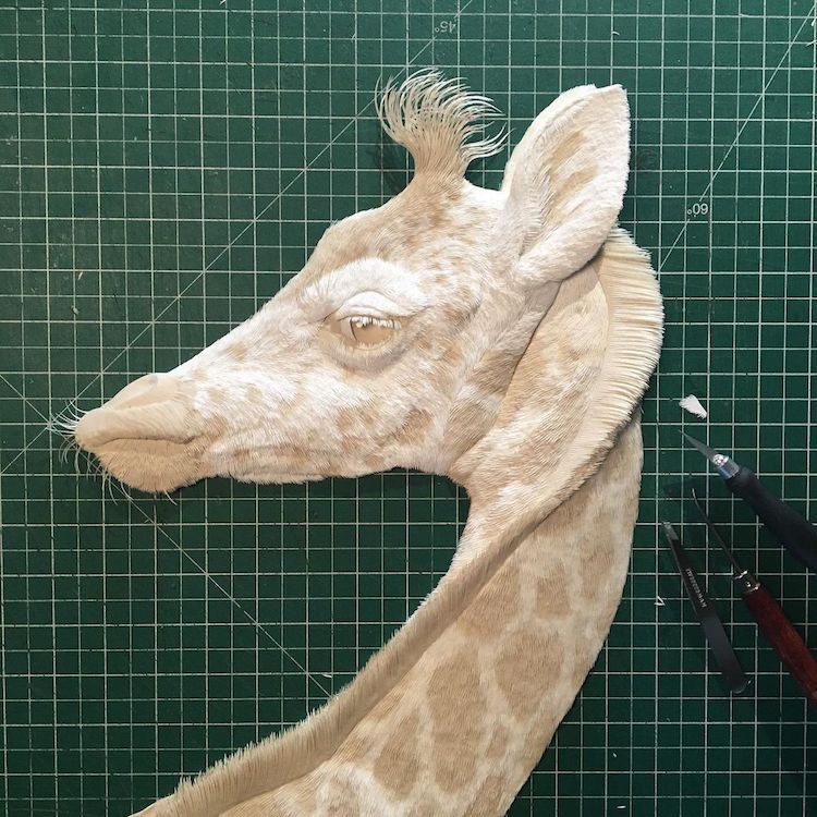 Artist Creates Incredible Paper Low Relief Sculptures of Animals