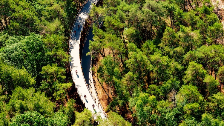 You Can Cycle Among the Tree Tops in This Raised Bike Path in a Belgian Forest