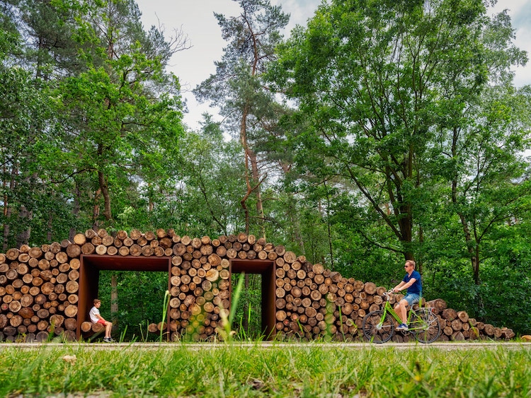 You Can Cycle Among the Tree Tops in This Raised Bike Path in a Belgian Forest