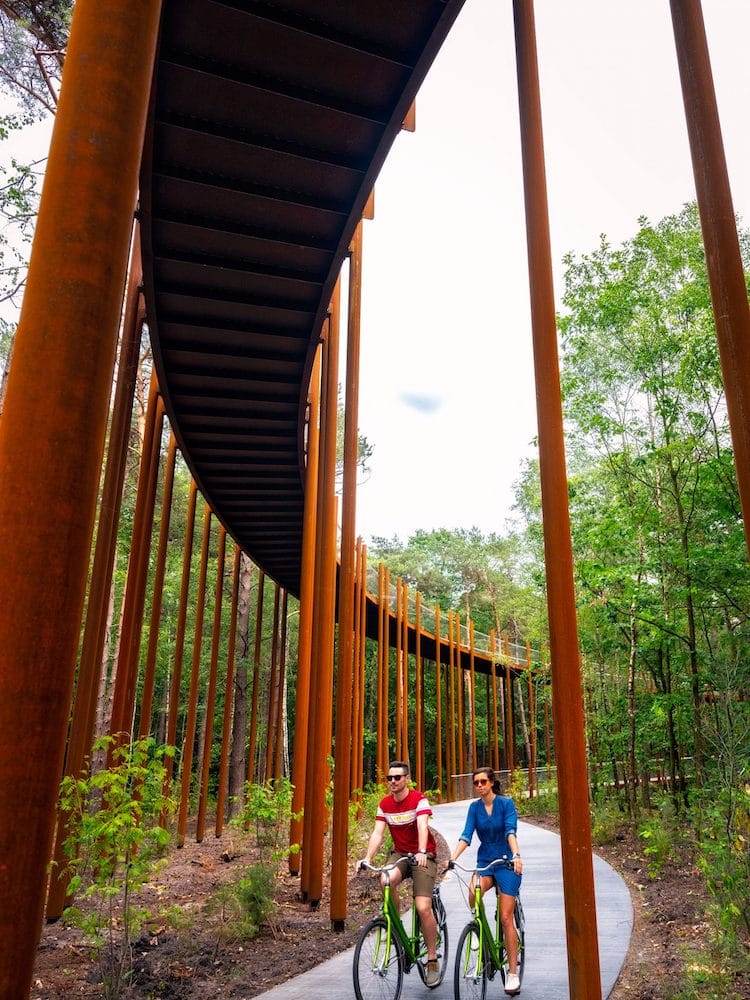 You Can Cycle Among the Tree Tops in This Raised Bike Path in a Belgian Forest