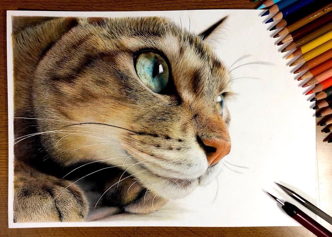 dibujos de gatos hiperrealistas por Haruki Kudo